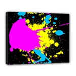 Splatter Canvas 14  x 11  (Stretched)