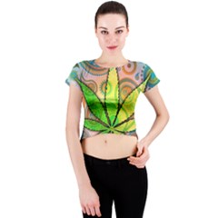 Crew Neck Crop Top 