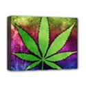 Deluxe Canvas 16  x 12  (Stretched)  