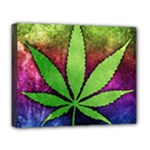 Pot Leaf Deluxe Canvas 20  x 16  (Stretched)