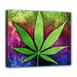 Pot Leaf Deluxe Canvas 24  x 20  (Stretched)