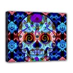 Sugar Skulls   Hypno Deluxe Canvas 20  x 16  (Stretched)