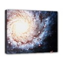 Deluxe Canvas 20  x 16  (Stretched) 