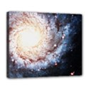 Deluxe Canvas 24  x 20  (Stretched) 