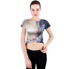 Crew Neck Crop Top 