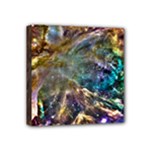 Colorful Cosmos Mini Canvas 4  x 4  (Stretched)