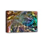 Colorful Cosmos Mini Canvas 6  x 4  (Stretched)