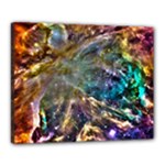 Colorful Cosmos Canvas 20  x 16  (Stretched)