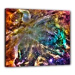 Colorful Cosmos Canvas 24  x 20  (Stretched)