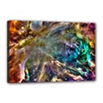 Colorful Cosmos Canvas 18  x 12  (Stretched)