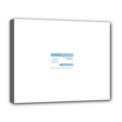 Goclean1 Deluxe Canvas 20  x 16  (Stretched) from ArtsNow.com
