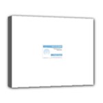 Goclean1 Deluxe Canvas 20  x 16  (Stretched)