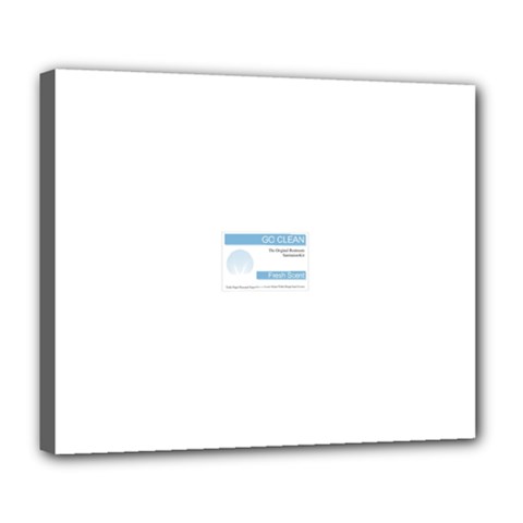 Goclean1 Deluxe Canvas 24  x 20  (Stretched) from ArtsNow.com