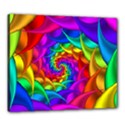 Canvas 24  x 20  (Stretched) 