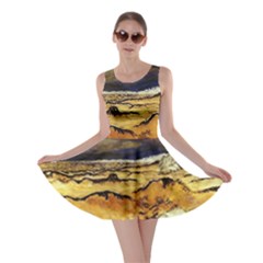 Skater Dress 