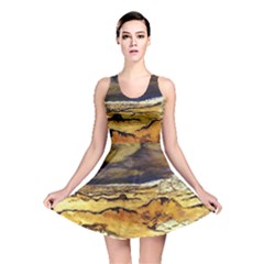 Reversible Skater Dress 