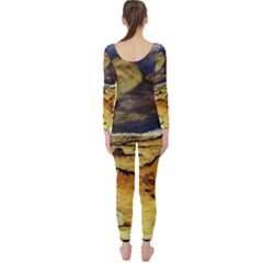 Long Sleeve Catsuit 