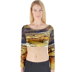 Long Sleeve Crop Top 