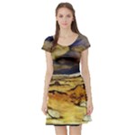 Brenton s Lighthouse Short Sleeve Skater Dress
