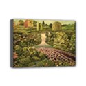 Mini Canvas 7  x 5  (Stretched) 