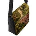 Flap Closure Messenger Bag (S) 