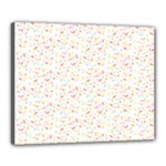 Sprinkles Shawl Canvas 20  x 16  (Stretched)