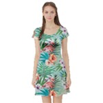 Image Short Sleeve Skater Dress