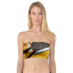Bandeau Top 