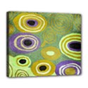 Deluxe Canvas 24  x 20  (Stretched) 