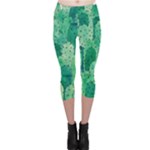 46 2 Capri Leggings 