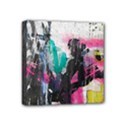 Mini Canvas 4  x 4  (Stretched) 