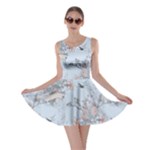 Shabby Chic Skater Dress