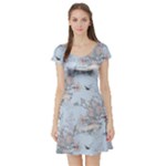 Shabby Chic Short Sleeve Skater Dress