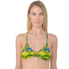 Reversible Tri Bikini Top 