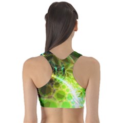 Fitness Sports Bra 