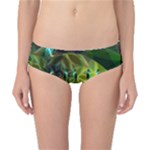 Dawn Of Time, Abstract Lime & Gold Emerge Classic Bikini Bottoms