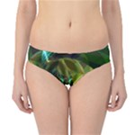 Dawn Of Time, Abstract Lime & Gold Emerge Hipster Bikini Bottoms