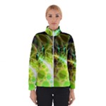 Dawn Of Time, Abstract Lime & Gold Emerge Winterwear Dawn Of Time, Abstract Lime & Gold Emerge Winterwear