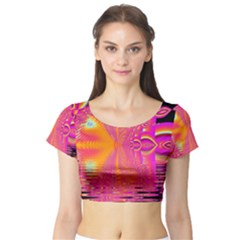 Short Sleeve Crop Top 