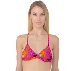 Reversible Tri Bikini Top 