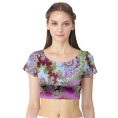 Short Sleeve Crop Top 