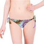 Raspberry Lime Delighraspberry Lime Delight, Abstract Ferris Wheel Bikini Bottom Raspberry Lime Delighraspberry Lime Delight, Abstract Ferris Wheel Bikini Bottom