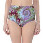 Raspberry Lime Delighraspberry Lime Delight, Abstract Ferris Wheel High-Waist Bikini Bottoms