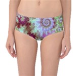 Raspberry Lime Delighraspberry Lime Delight, Abstract Ferris Wheel Mid-Waist Bikini Bottoms