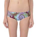 Raspberry Lime Delighraspberry Lime Delight, Abstract Ferris Wheel Classic Bikini Bottoms