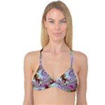 Raspberry Lime Delighraspberry Lime Delight, Abstract Ferris Wheel Reversible Tri Bikini Top Raspberry Lime Delighraspberry Lime Delight, Abstract Ferris Wheel Reversible Tri Bikini Top