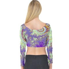Long Sleeve Crop Top 