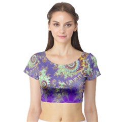 Short Sleeve Crop Top 
