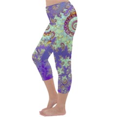 Capri Winter Leggings Back Capri Winter Leggings Back