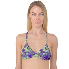 Reversible Tri Bikini Top 